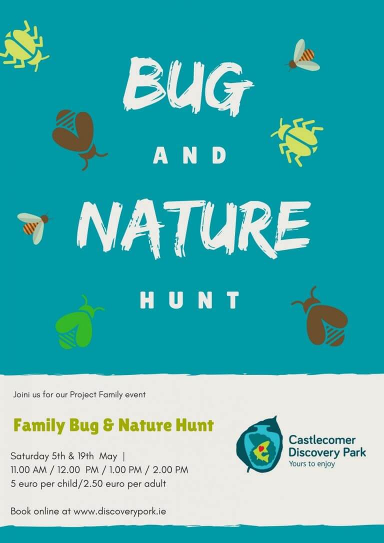 bug-and-nature-hunt-castlecomer-discovery-park-in-kilkenny