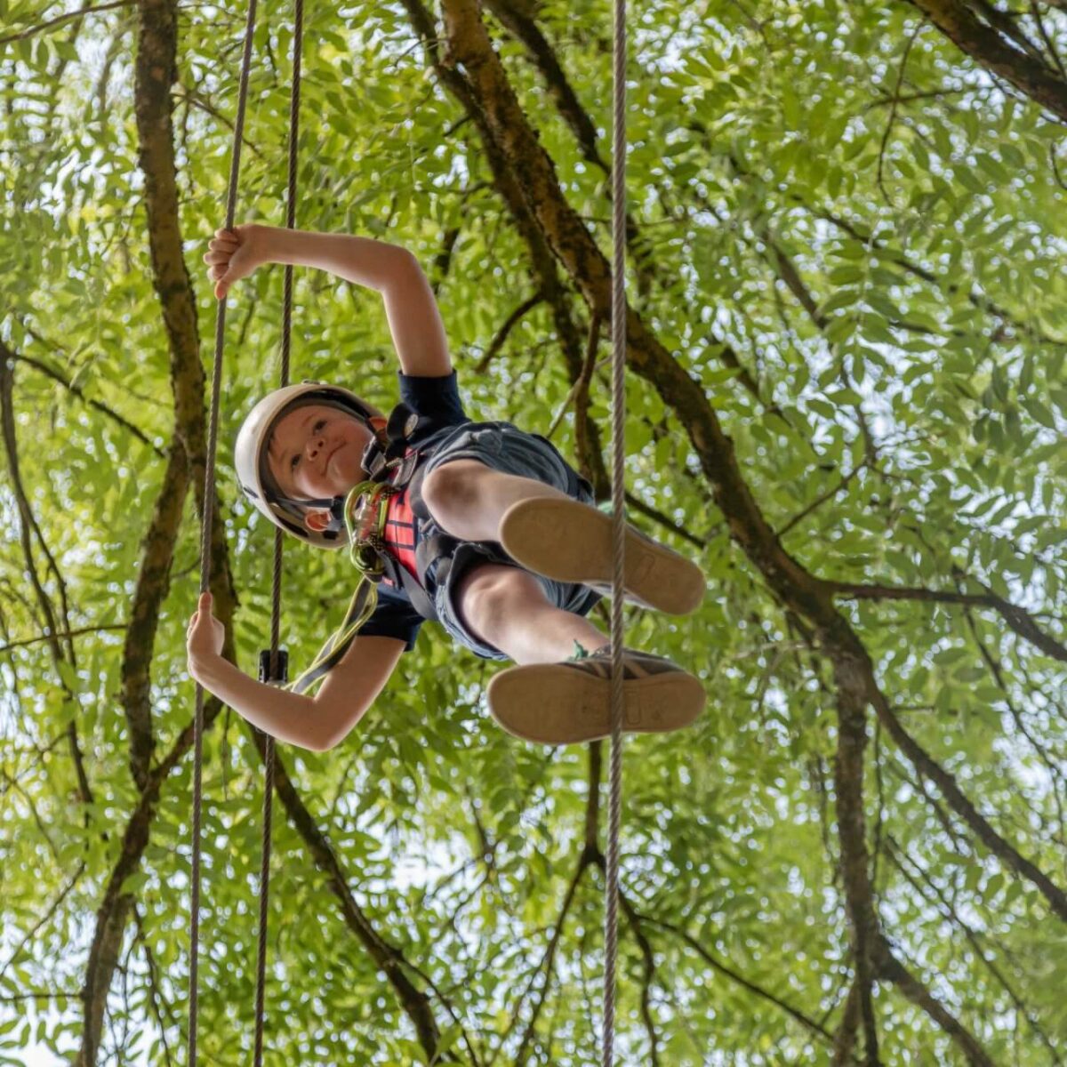 The Skywalk Challenge - Castlecomer Discovery Park Kilkenny