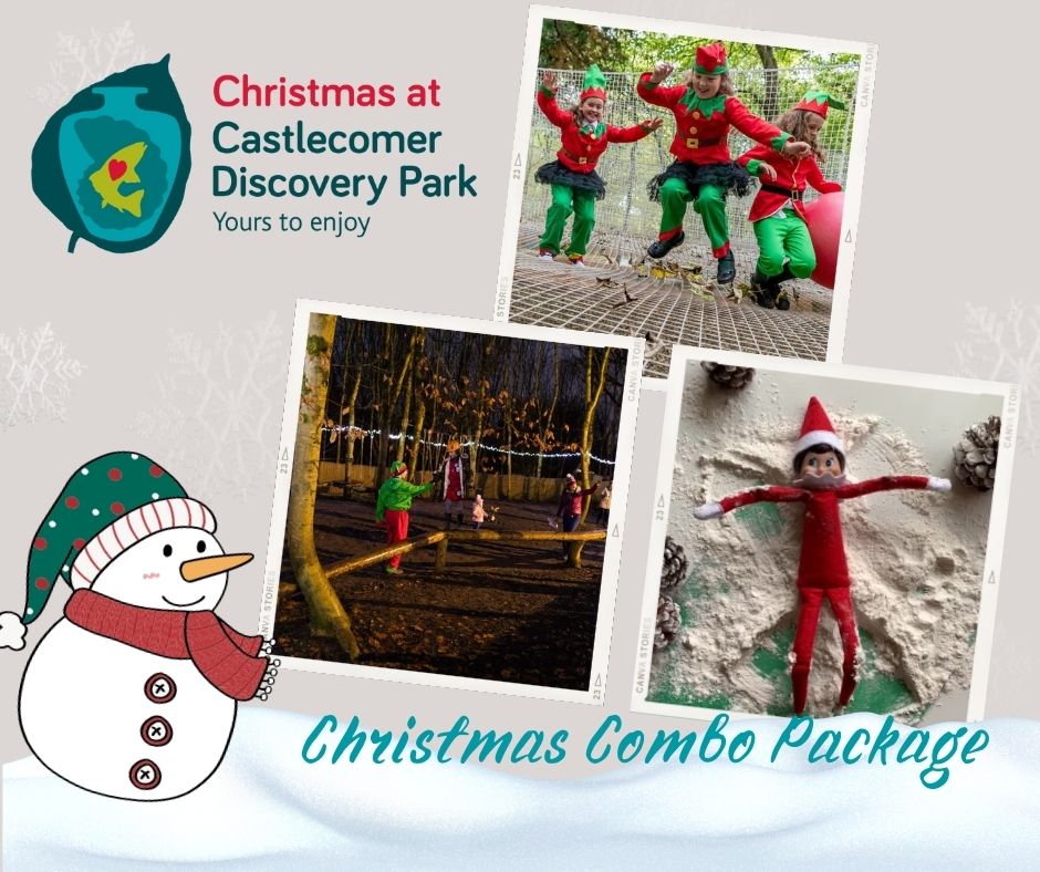 Christmas at Discovery Park
